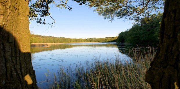 Grundst�ck mit See in den Masuren von Polen