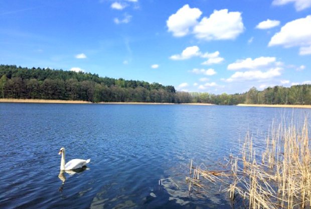 Seegrundst�ck in den Masuren von Polen zum Kaufen