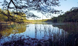 See vom Grundst�ck