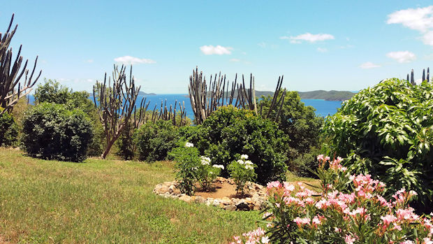 gepflegtes Baugrundst�ck auf Tortola im Belmont Estate