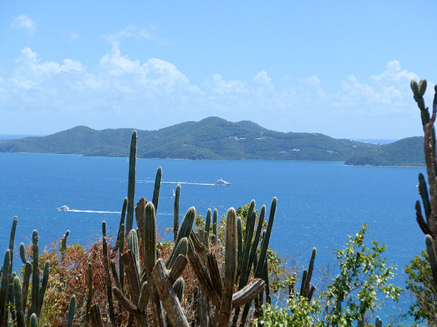 Meerblick vom Baugrundst�ck