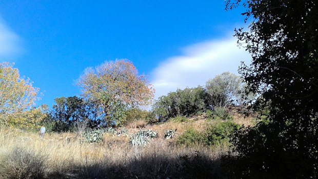 Baugrundstck in Hanglage auf Rhodos