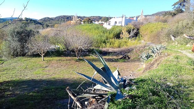 Bauland in Lachania der Insel Rhodos