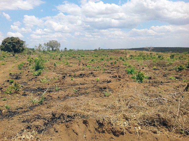 Agrarland Grundstck fr Landwirtschaft in Tansania