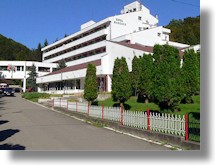 Hotel im Kreis Arad in Moneasa Rumnien zum Kaufen