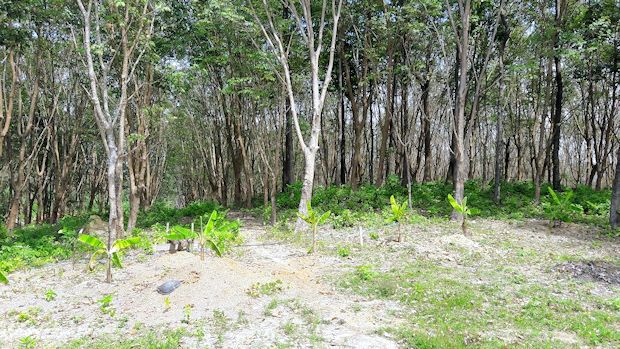 Grundstck fr Ferienhaus auf Koh Por Thailand