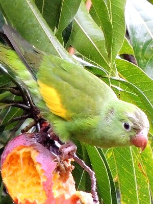 Nachbar vom Ferienhaus