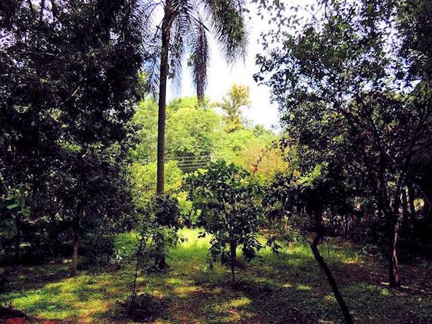 zustzliches Grundstck vom Ferienhaus