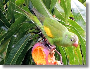 Bewohner vom Wohnhaus am Lago Ypacarai in Aregua