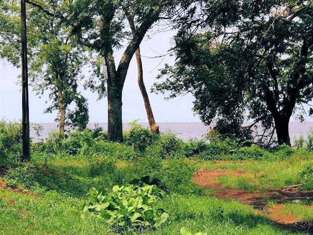 Blick vom Grundstck zum See Ypacarai