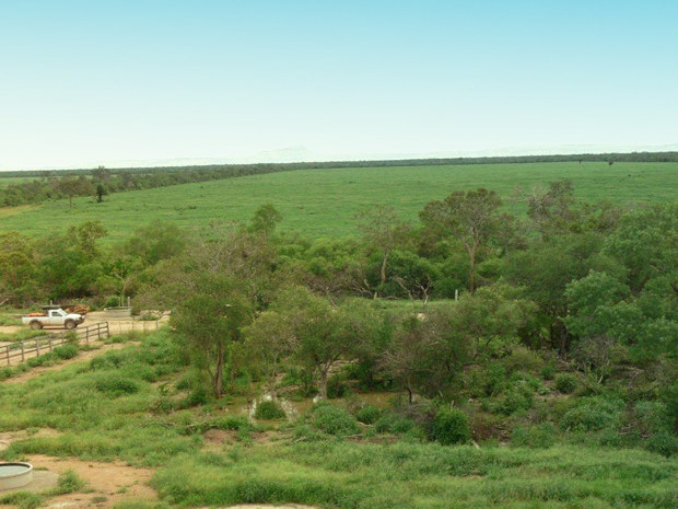 Grundstück für Landwirtschaft Rinderzucht Rinderhaltung in Paraguay Grundstück für Landwirtschaft Rinderzucht Rinderhaltung in Paraguay