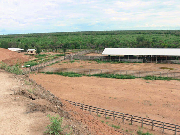 Corral der Rinderfarm auf dem Grundstück in Boqueron Paraguay Corral der Rinderfarm auf dem Grundstück in Boqueron Paraguay