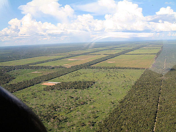 Grundstücke für Landwirtschaft im Chaco Paraguay Grundstücke für Landwirtschaft im Chaco Paraguay