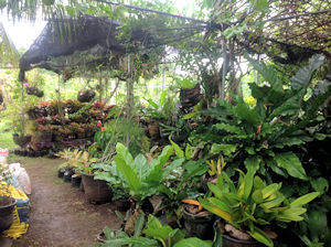 Garten zu den Husern