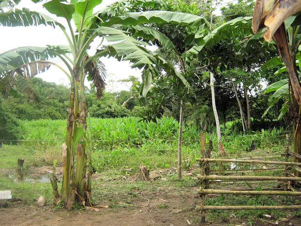 �kofarm in Bolivien