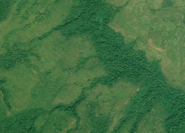 Kaffeeland Agrarland in �thiopien