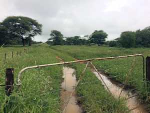 Rinderfarm zum Kaufen in Namibia