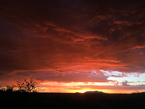 Rinderfarm am Abend bei Otjiwarongo