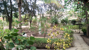 Garten vom Wohnhaus Garten vom Wohnhaus