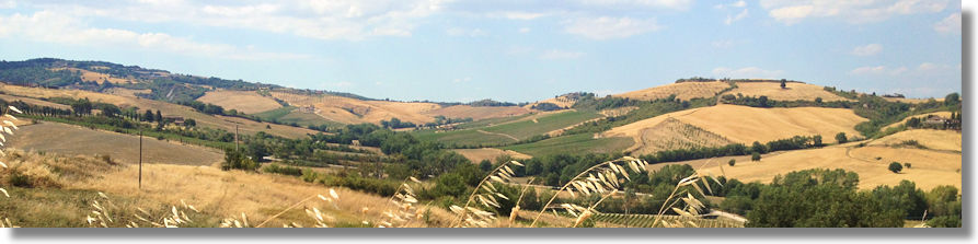 Grundstück umgeben von Weinbergen des Nobile di Montepulciano