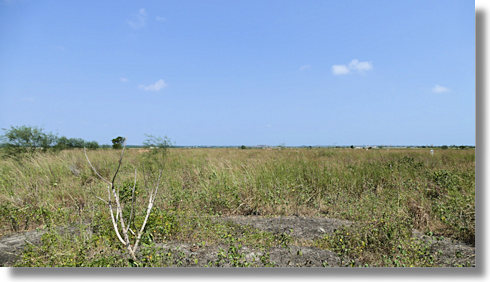 Dangme West Gewerbegrundst�cke Greater Accra Ghana