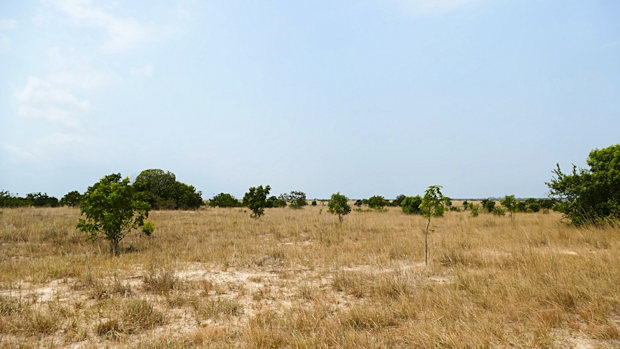 Baugrundst�cke Bauland Prampram