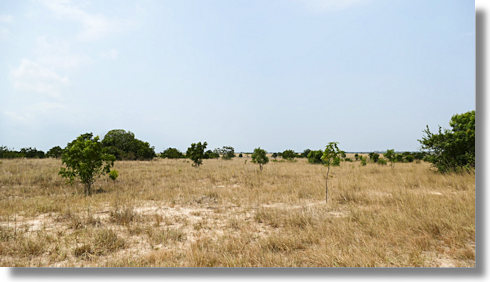 Grundst�cke bei Prampram Greater Accra Ghana