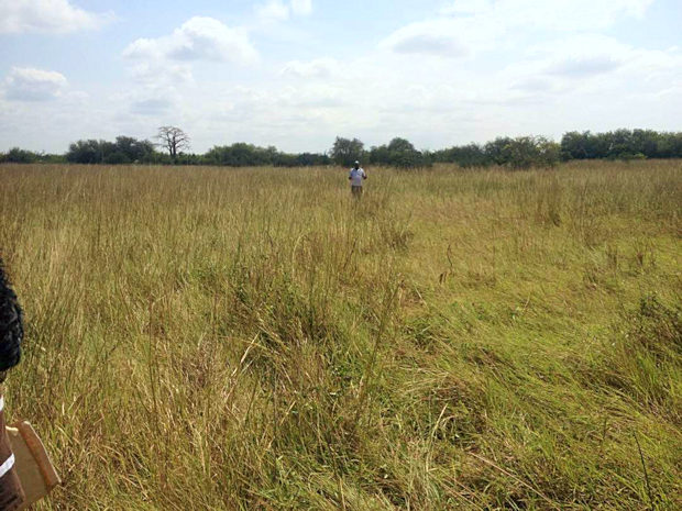 Baugrundst�ck bei Gbetsile Miotso Ningo-Prampram