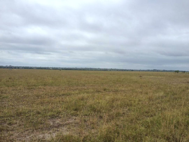 Bauland Larkpleku Greater Accra