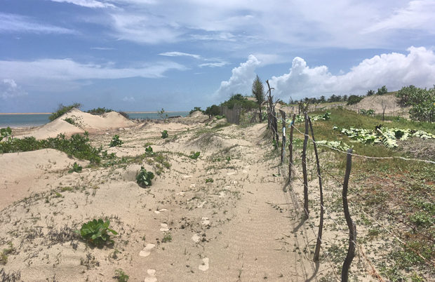 Baugrundst�ck an der K�ste von Guajiru Brasilien