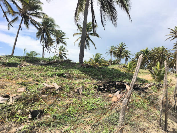 Bauland am Meer in Guajiru Ceara