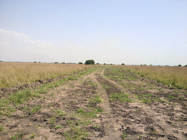 Bauland Grundst�cke in Kopodor New Ningo