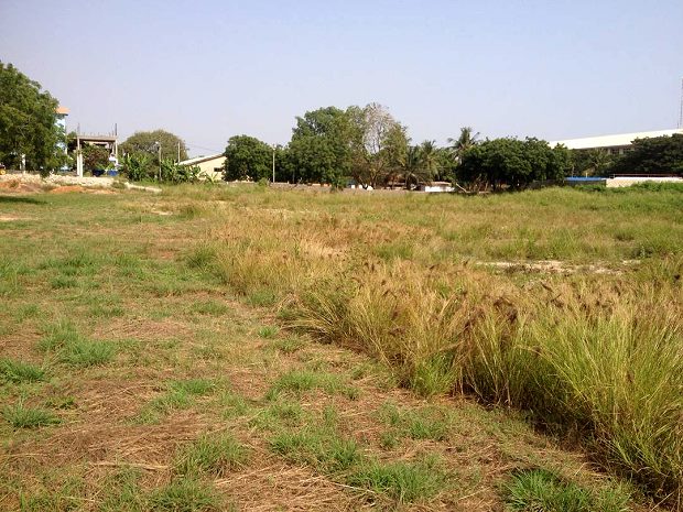 Baugrundst�ck in Tema Ghana