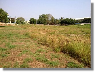 Grundst�ck in Tema