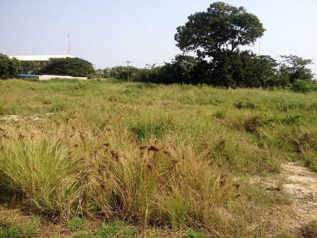 Bauland in Tema Greater Accra