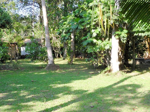 Grundstck Garten vom Einfamilienhaus in Sri Lanka