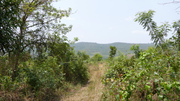 Grundst�ck f�r Landwirtschaft Agrarland Ghana