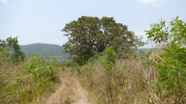 Grundst�ck f�r Landwirtschaft Agrarland