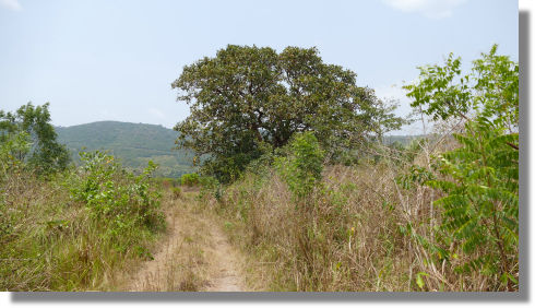 Grundst�ck zwischen Dodowa und Agameda