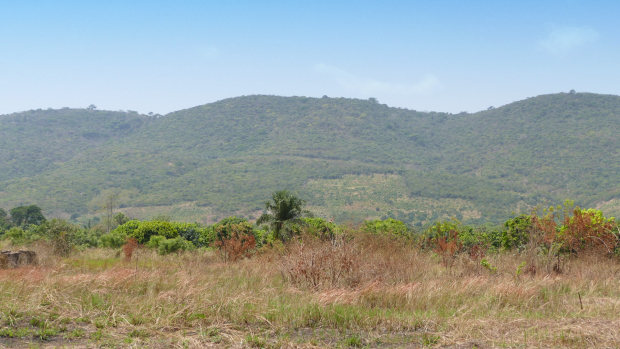 Agrarland bei Dodowa Ghana