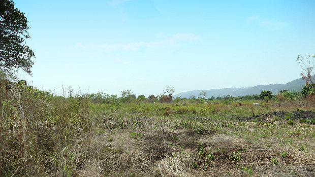 Ayikuma Agrarland in Ghana