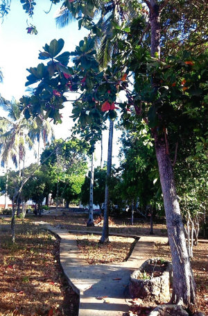 Baugrundstück bei Malindi Baugrundstück bei Malindi