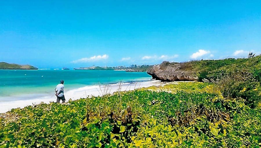 Strand unweit der Wohnungen in Watamu Kenia Strand unweit der Wohnungen in Watamu Kenia