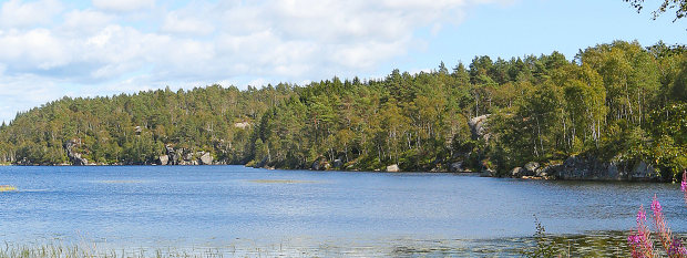 See am Wohnhaus See am Wohnhaus