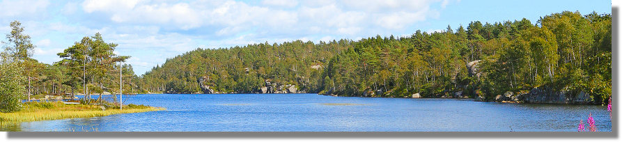 Immobilien in der Seenlandschaft von Norwegen kaufen vom Immobilienmakler