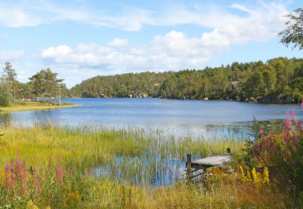 der See am Einfamilienhaus der See am Einfamilienhaus