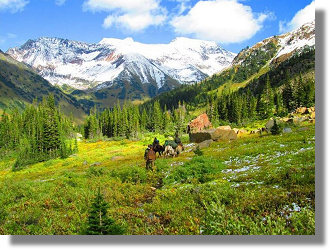 Jagdgesch�ft mit Jagdlizenz und Jagdrevier