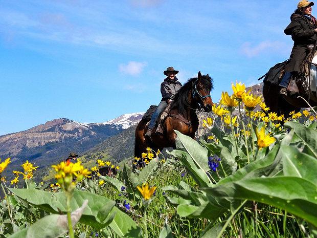 mit dem Pferd durch das Jagdgebiet