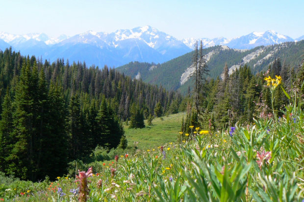 Naturpark nah der Lodge