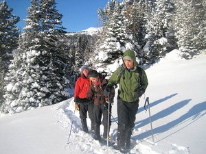 Wintersport im Resort